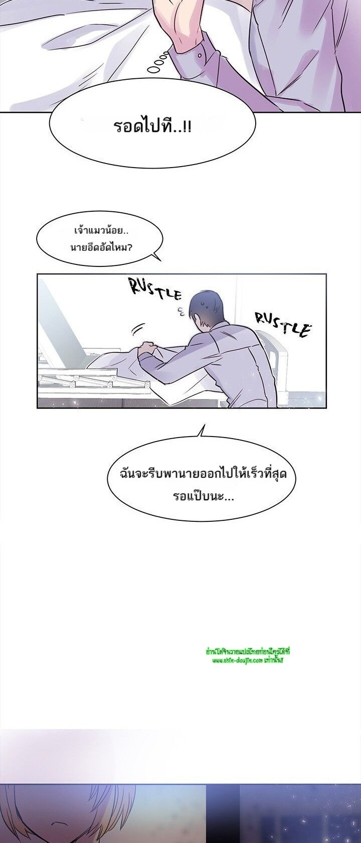 Cat in a Cardboard Box EP 8